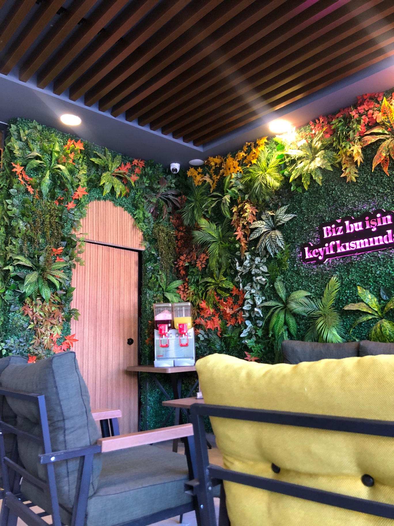 Bahane Cafe iç mekan — botanik yeşil duvar ve sarı koltuklar